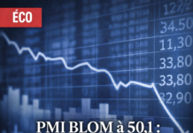 Le PMI BLOM du Liban à 50,1 en janvier : une expansion marginale marquée par des signes de ralentissement Le PMI BLOM du Liban à 50,1 en janvier : une expansion marginale marquée par des signes de ralentissement