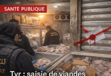 Saisie de viandes et poissons avariés à Tyr : la Sûreté de l&rsquo;État frappe un établissement et arrête son propriétaire syrien