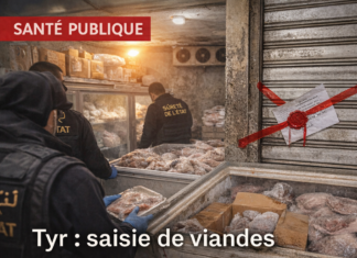 Saisie de viandes et poissons avariés à Tyr : la Sûreté de l&rsquo;État frappe un établissement et arrête son propriétaire syrien