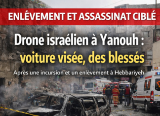 Attentat israélien à Yanouh : une voiture ciblée par un drone, plusieurs blessés dans le sud du Liban