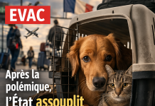 Après la polémique sur les animaux abandonnés, l’État assouplit les règles Après la polémique sur les animaux abandonnés, l’État assouplit les règles