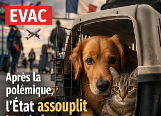 Après la polémique sur les animaux abandonnés, l’État assouplit les règles