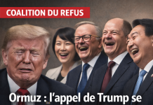 Ormuz : l’appel de Trump se heurte aux refus de ses alliés