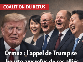 Ormuz : l’appel de Trump se heurte aux refus de ses alliés