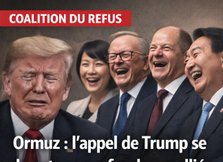 Ormuz : l’appel de Trump se heurte aux refus de ses alliés Ormuz : l’appel de Trump se heurte aux refus de ses alliés