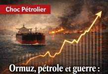 Frappes américano-israéliennes sur l’Iran et perturbations dans le détroit d’Ormuz : la flambée des prix du pétrole va-t-elle accélérer la transition énergétique mondiale ?