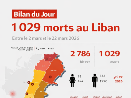 Le bilan officiel s’alourdit à 1 029 morts au Liban