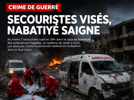 Secouristes visés, Nabatiyé saigne