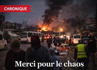 Merci pour le chaos — édition spéciale gratitude nationale Merci pour le chaos — édition spéciale gratitude nationale