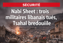 Nabi Sheet : L’armée libanaise révèle l’opération israélienne nocturne – Trois militaires tués et Tsahal bredouille sur Ron Arad