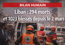 Point à 18h : 294 morts dont 41 à Nabi Chit après le raid israélien