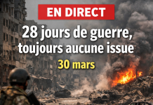 En direct: 28 jours de guerre et toujours aucune issue