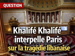 Question adressée par le sénateur Khalifé Khalifé au ministre des Affaires étrangères et de l’Europe.