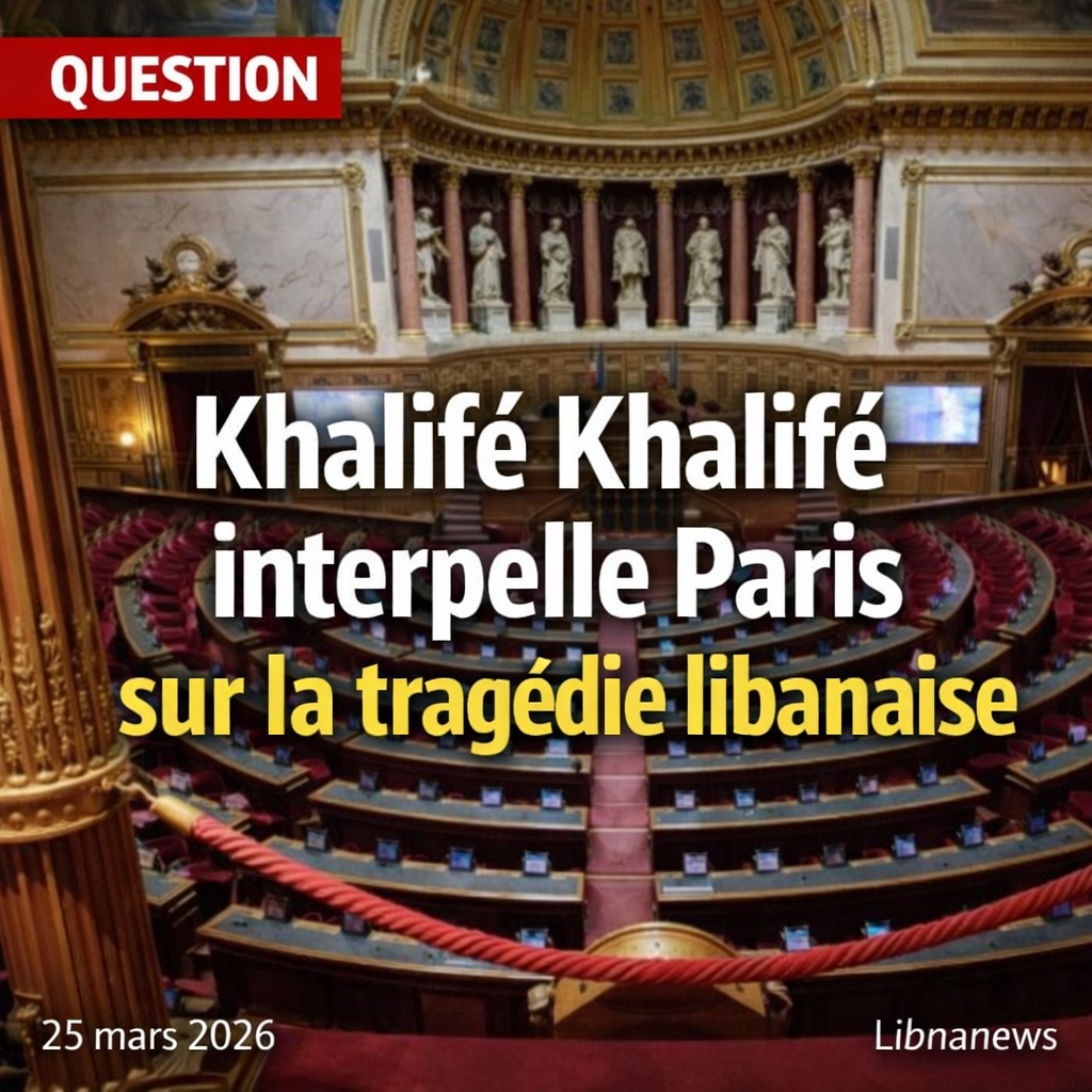 Question adressée par le sénateur Khalifé Khalifé au ministre des Affaires étrangères et de l’Europe.