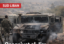Qaaqaaiyet al-Jisr : cinq soldats libanais blessés