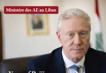 Youssef Rajji à la Ligue arabe : le Hezbollah ignore les intérêts libanais, le gouvernement et le peuple innocents de ses actes