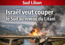 Israël veut couper le Sud du Liban au niveau du Litani