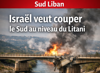Israël veut couper le Sud du Liban au niveau du Litani
