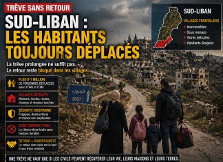 Sud-Liban : une trêve sans retour des habitants