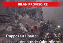 Interim assessment in Lebanon: at least 112 deaths according to Health, 254 according to Civil Defence, many of which are civilians