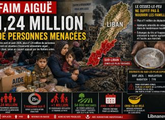 Liban : la faim aiguë menace 1,24 million de personnes