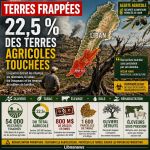 Au Liban, 22,5 % des terres agricoles touchées par la guerre