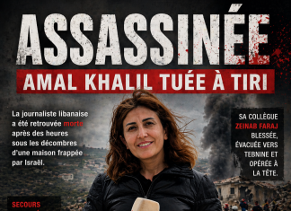 Amal Khalil tuée sous les frappes à Tiri أمال خليل قُتل تحت إضرابات في تيري