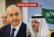 إعادة تنشيط الشبكات اللبنانية