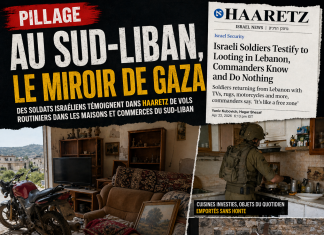Pillage au Sud-Liban : le miroir de Gaza قرية في جنوب لبنان: مرآة غزة