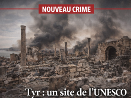 نموذج: موقع اليونسكو تحت الصدفة