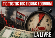 Comment la livre tient encore malgré la guerre