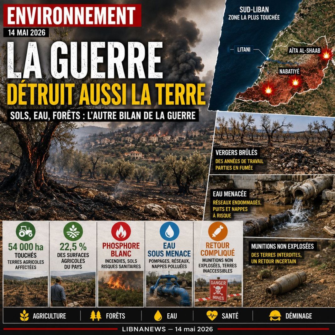 Liban : l’impact environnemental de la guerre
