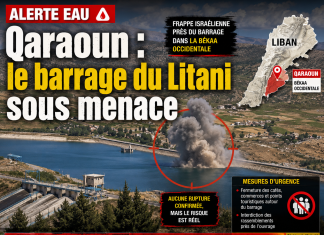 Libnanews