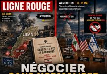 Washington : le Liban cherche des garanties Washington : le Liban cherche des garanties