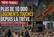 Liban : plus de 10 000 logements touchés Liban : plus de 10 000 logements touchés