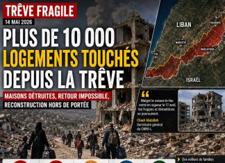 Liban : plus de 10 000 logements touchés