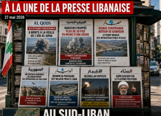 Libnanews