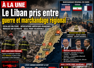 Libnanews