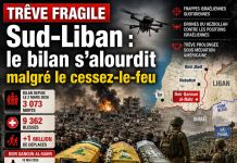 Sud-Liban : trêve fragile, bilan lourd