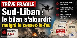 Sud-Liban : trêve fragile, bilan lourd