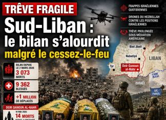 Sud-Liban : trêve fragile, bilan lourd