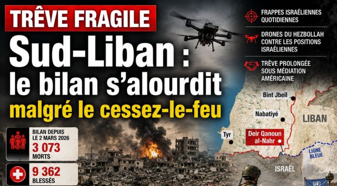Sud-Liban : trêve fragile, bilan lourd