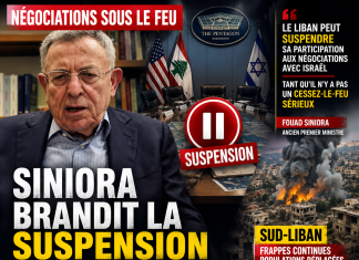 Libnanews