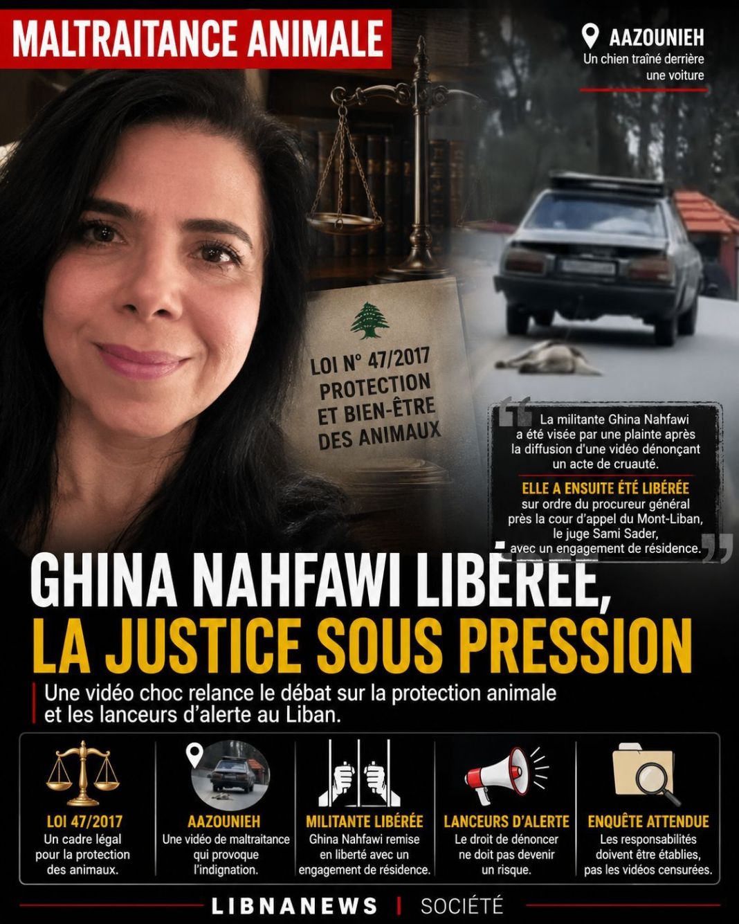 Liban : une militante libérée après une vidéo choc dénonçant la violence animale