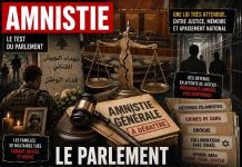 Fadel Shaker, Assir et l’amnistie en débat