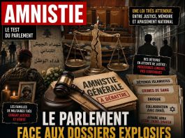 Fadel Shaker, Assir et l’amnistie en débat