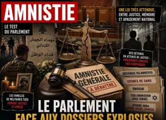 Fadel Shaker, Assir et l’amnistie en débat