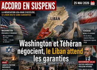 Libnanews