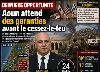 Libnanews