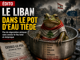 Israël-Liban : la grenouille est dans le pot
